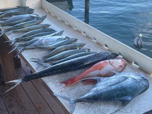 Jupiter Florida fishing charters 2022
