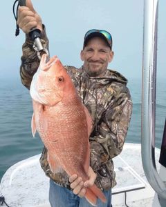 Northern Red Snapper - Hooked!