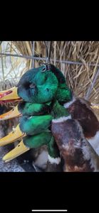 Only a Few Weeks Left