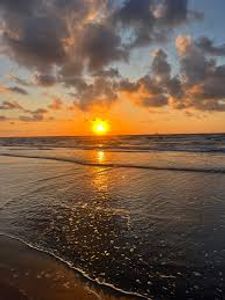 Top Things to Do in Port Aransas, TX