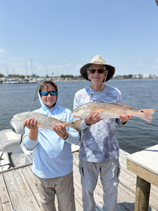 Non-Stop Black Drum & Redfish Action on Galveston Bay!
