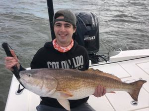 Anna Maria Island Fishing Report