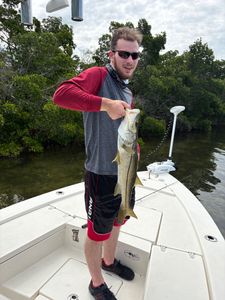 Snook season 