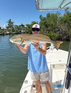 Redfish