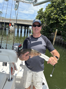 Holmes Beach Fall Fishing: Hot Grey Snapper & Trout Action