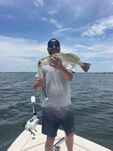 Spotted Weakfish Success: Inshore Action off Holmes Beach, FL