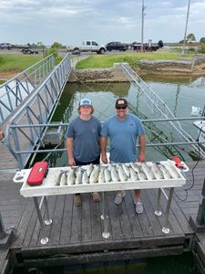 Several Stripers Caught on Lake Texoma