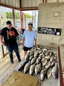Striped Bass and Catfish Battle on Lake Texoma Excursion