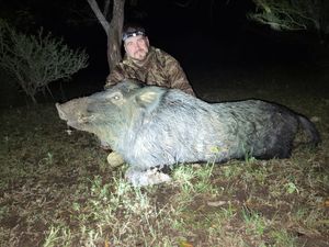 Management Hunt Success with ATX Outfitters