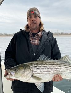 Combo Trip / Bottom & Bass