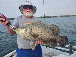 Wintertime in Stuart, Florida 