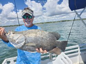 Summer On The Treasure Coast | Stuart Fishing Report 