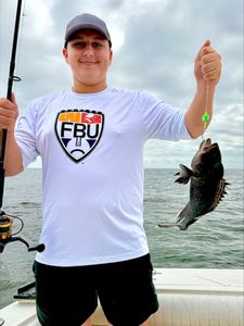 SEA BASS ARE BITING!!!!!