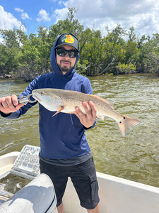Punta Gorda Redfish Action - Non-Stop Bites All Morning!