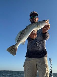 September Fishing Trips Available in Corpus Christi