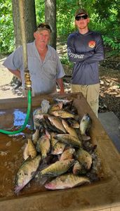 Summer Crappie Fishing Trips for the Family