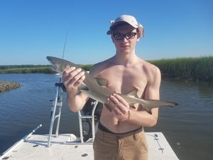 Mixed Action While Chasing Keeper Reds