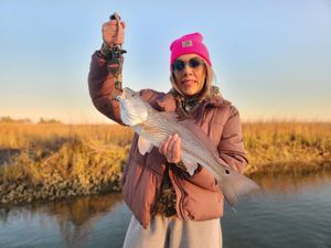 Non-Stop Action and a Breathtaking Charleston Sunset