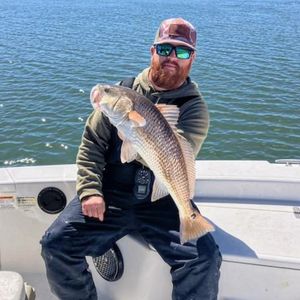 Battling the Wind for a Five-Species Success!