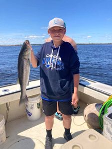 Exciting Striper fishing in NH