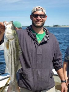 Stripers in New Hampshire