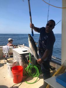 Fishing Charter in Hampton, New Hampshire