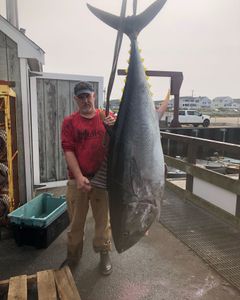 Fish-Species