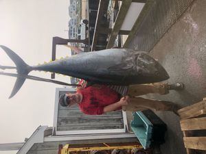 Fish-Species