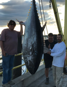 Tuna Fishing Charters in New Hampshire