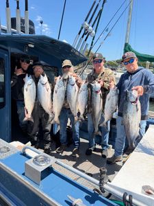 Chrome Salmon and Early Limits Make for a Great Day on the Water