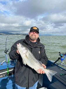 How to Catch Striped Bass in San Francisco Bay