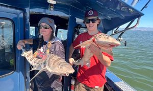 California Fishing License