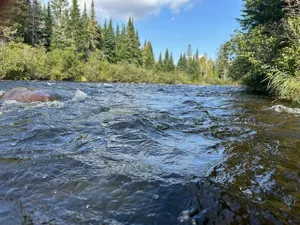 Maine Fishing Report 