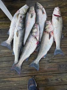 Top-Tier Crew and A Charter Worth Repeating