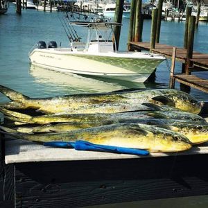 Fort Pierce Fishing Charters Catches