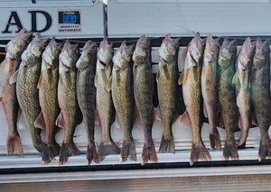 Fish Are Biting—Book Your Trip with Otto Today!