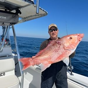 Best Time of Year for Fishing in Destin Florida