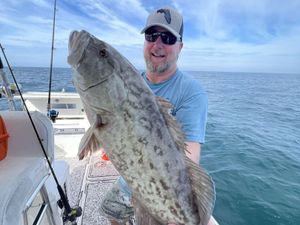 Grouper Bite
