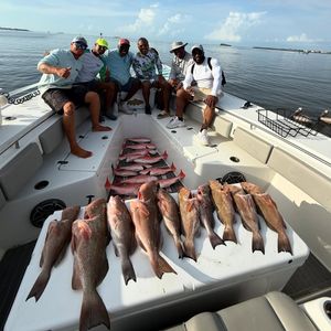 Red Snapper and Red Grouper Action!