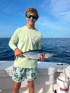 Tampa Family Lands Bonitas, Barracudas, and a Big Shark