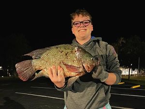 Tilapia Action Heating Up on Lake City Night Trips