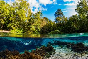 Things To Do in Lake City Florida