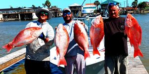 Scouting Reefs and Wrecks with Capt Stewart – Big Snapper Still Biting in State Waters!