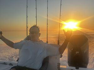 Discovering the Best of Gulf Shores Off the Water