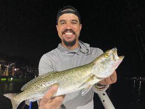 Seasonal Action Heats Up Across Inshore, Nearshore, and Offshore Waters