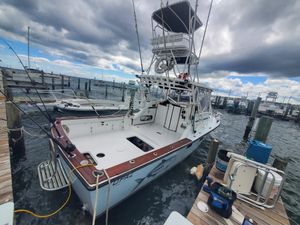 Book Your Next Adventure with GC Fishing Charters