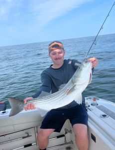 Bass fishing Pollack rip