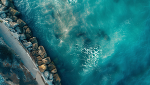 Things To Do In Islamorada 