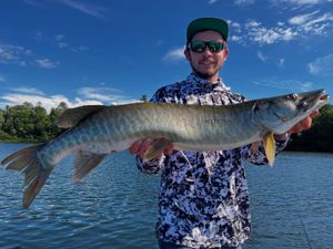 Quick Strike Success with Bradley