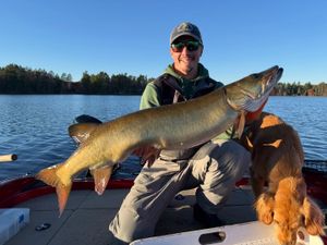 The Best Guide Season Yet